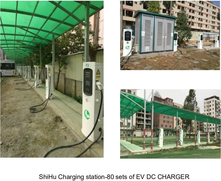 60kw 80kw 100kw 120kw 160kw 200kw Double Guns EV Charger Charging Station CCS1 CCS2 Chademo GB/T Types Output 150-1000VDC